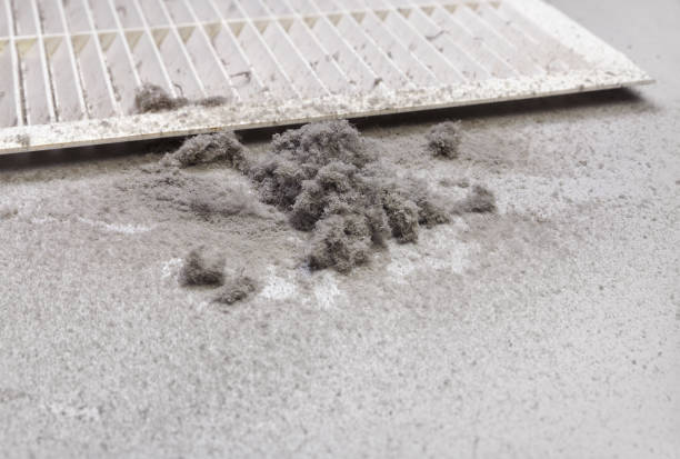 Best Best Air Duct Cleaning Company  in Sunman, IN